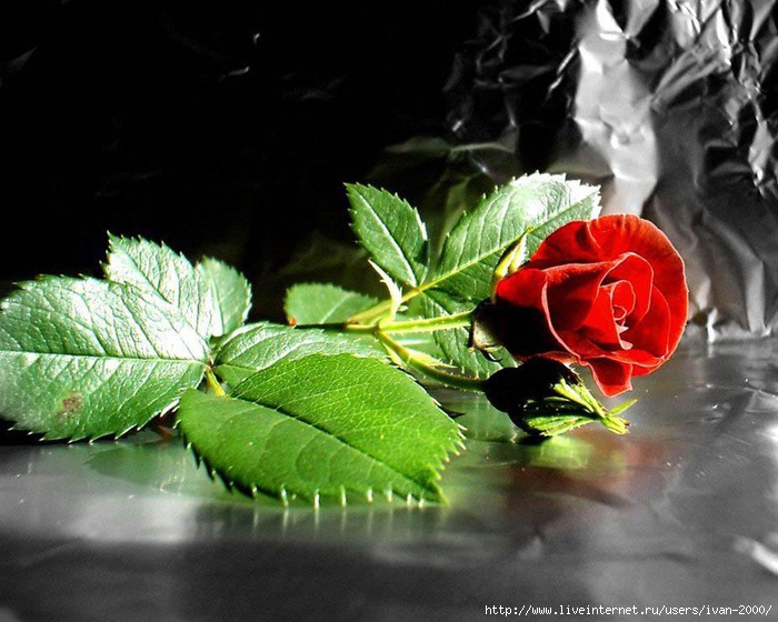  (700x560, 108Kb)