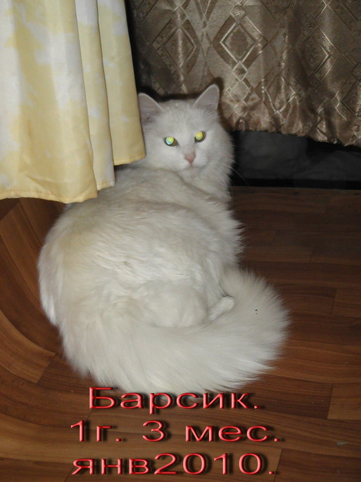  (525x700, 90Kb)