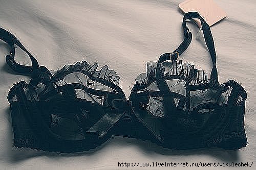  (500x333, 38Kb)