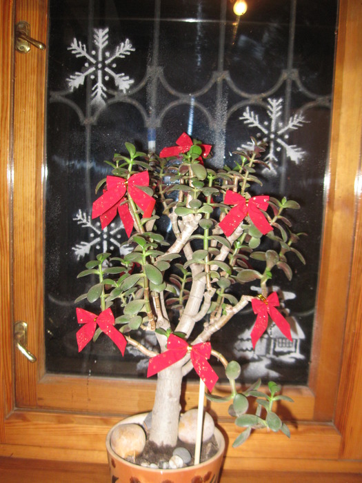 IMG_0498 (525x700, 133 Kb)