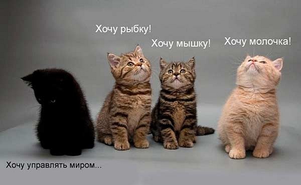  (600x369, 39Kb)