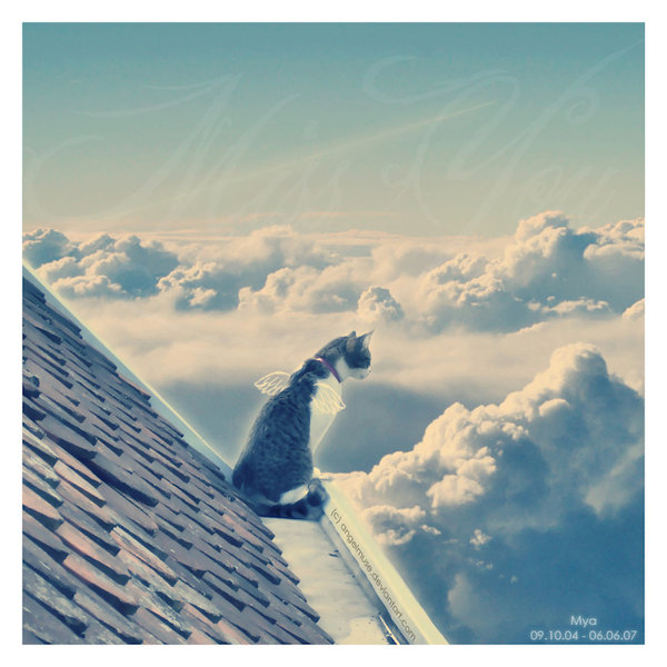  (600x600, 74Kb)