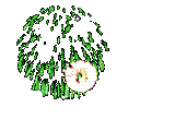 36761381_a0ee8096797e8f996e3f940c1f11f2d61 (160x120, 60 Kb)