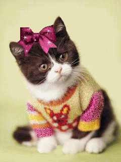 _1_~2[1] (240x320, 152 Kb)