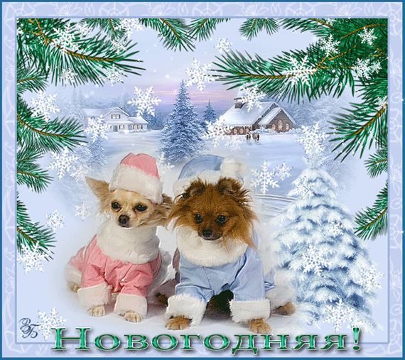  (570x507, 374Kb)