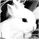 http://img0.liveinternet.ru/images/attach/c/2//68/669/68669077_Dear_Rabbit_.png