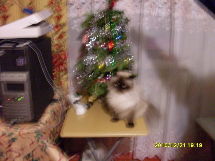  (700x525, 133Kb)