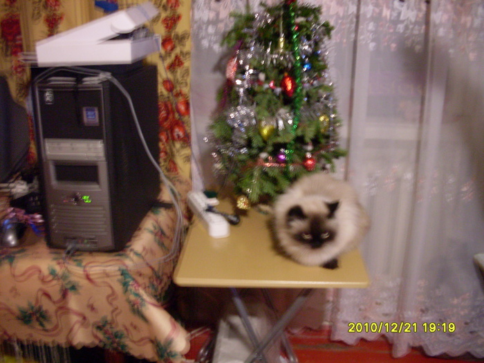  (700x525, 149Kb)