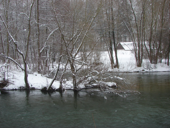 DSC07635 (700x525, 204 Kb)