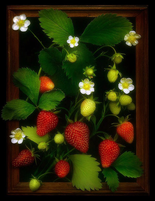  (540x699, 112Kb)