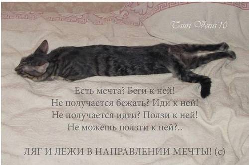 (500x332, 24Kb)
