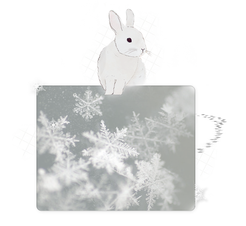  (499x457, 258Kb)