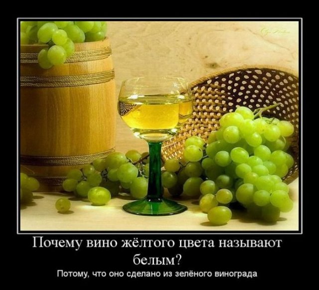 http://img0.liveinternet.ru/images/attach/c/2//68/883/68883173_3cbb0660a8760fafd952fcabffa97590.jpg