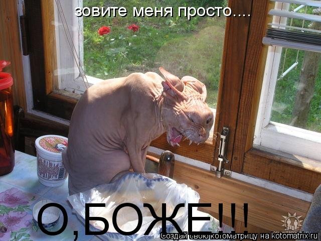 f3fdeca3d03d (640x480, 81 Kb)