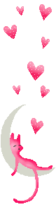  (80x300, 14Kb)