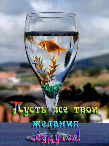  (450x600, 4664Kb)