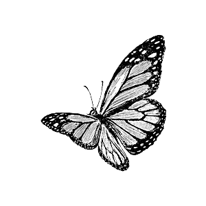  (300x300, 22Kb)