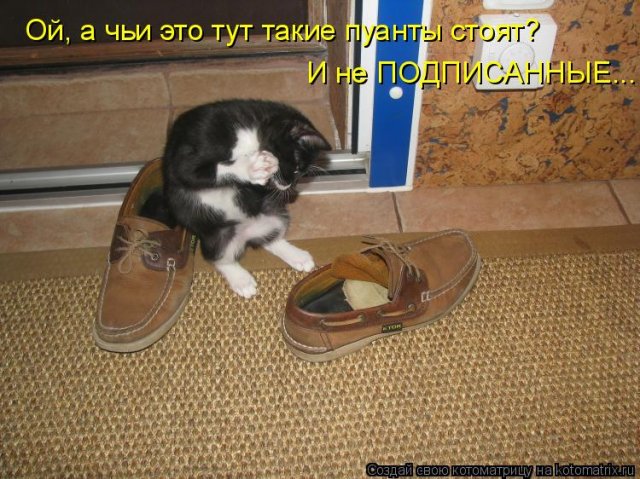 http://img0.liveinternet.ru/images/attach/c/2//69/587/69587401_8e40f3a766f7f317036ca7138918d691.jpg