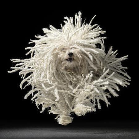     (Tim Flach)