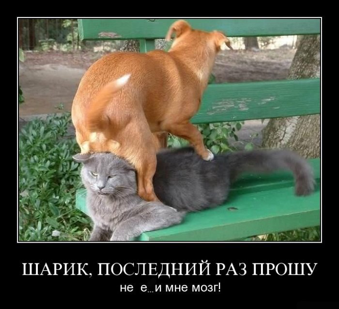  (700x638, 74Kb)