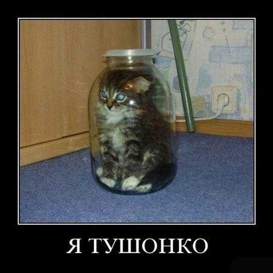  (550x550, 56Kb)