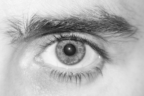 x_e22874c5 (604x403, 66 Kb)