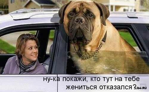  (500x311, 36Kb)