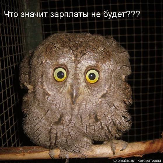  (559x559, 72Kb)