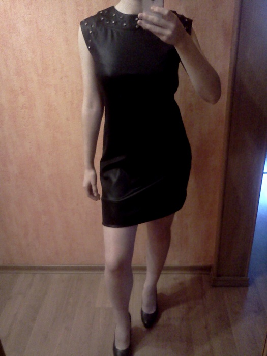 IMG20110209_005 (525x700, 87 Kb)