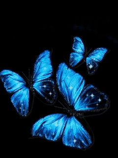  (240x320, 84Kb)