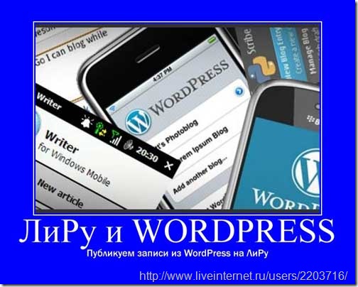 -wordpress