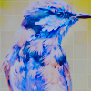  (100x100, 25Kb)
