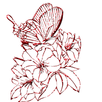  (200x200, 21Kb)