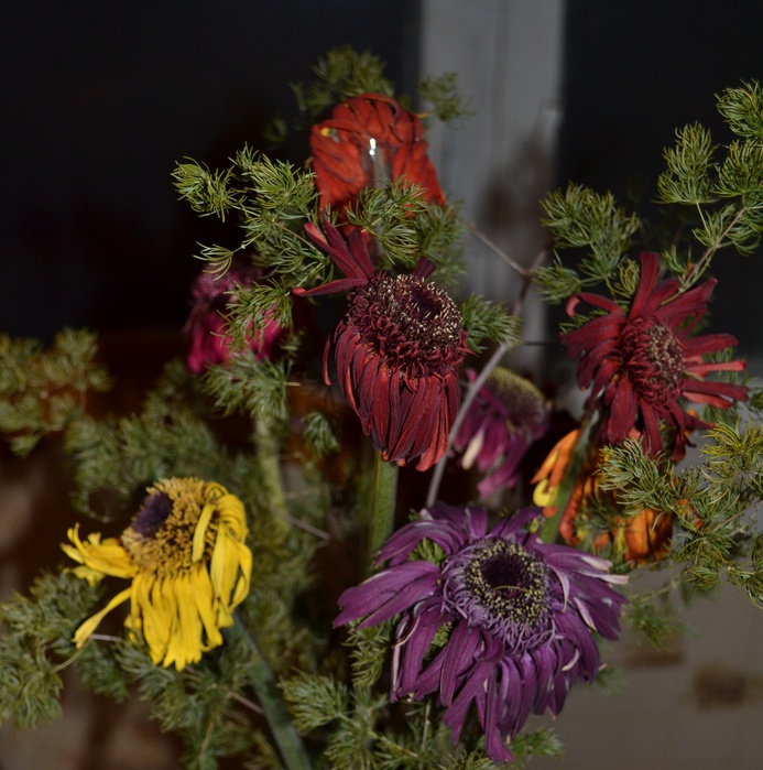DSC_0530 (693x699, 165 Kb)