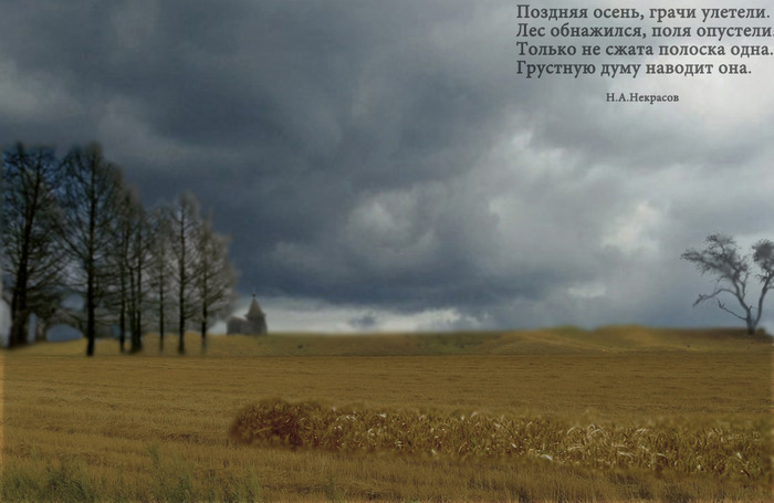  (700x455, 77Kb)