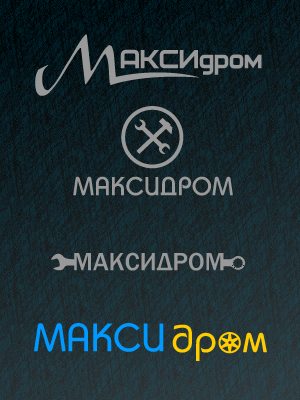 logo_maxidrom (300x400, 195 Kb)
