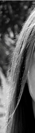  (121x448, 45Kb)