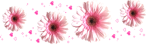  (291x90, 12Kb)