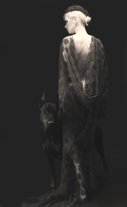 4121408_large (429x698, 31 Kb)