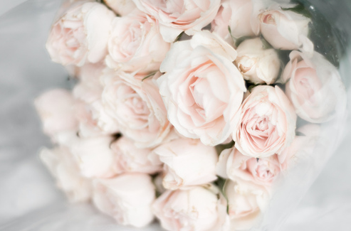 tumblr_lhlyx5N6lh1qdspz3o1_500 (493x325, 182 Kb)
