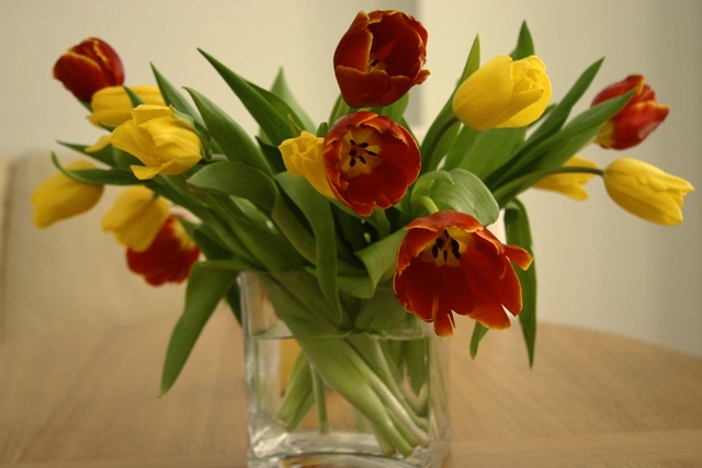 ����� (640x427, 97 Kb)