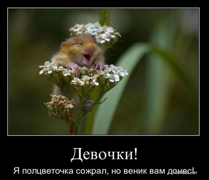  (700x604, 39Kb)
