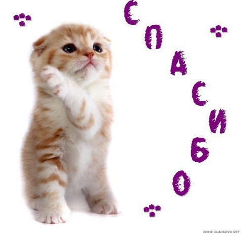  (500x482, 111Kb)