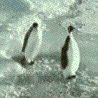  (98x98, 165Kb)
