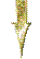  (37x54, 1Kb)