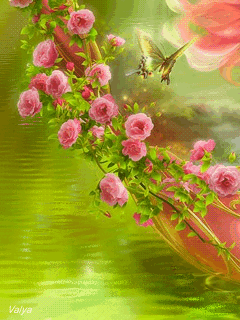  (240x320, 556Kb)