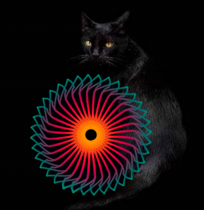  (297x306, 118Kb)