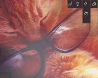  (200x160, 71Kb)