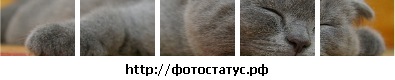 x_a8ac7469 (395x80, 11 Kb)