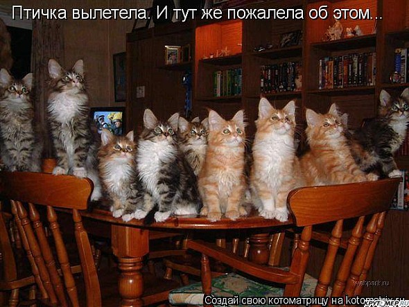  (590x443, 94Kb)